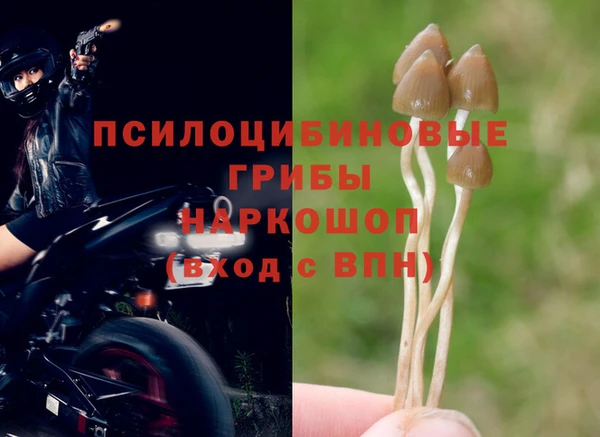 спиды Наволоки
